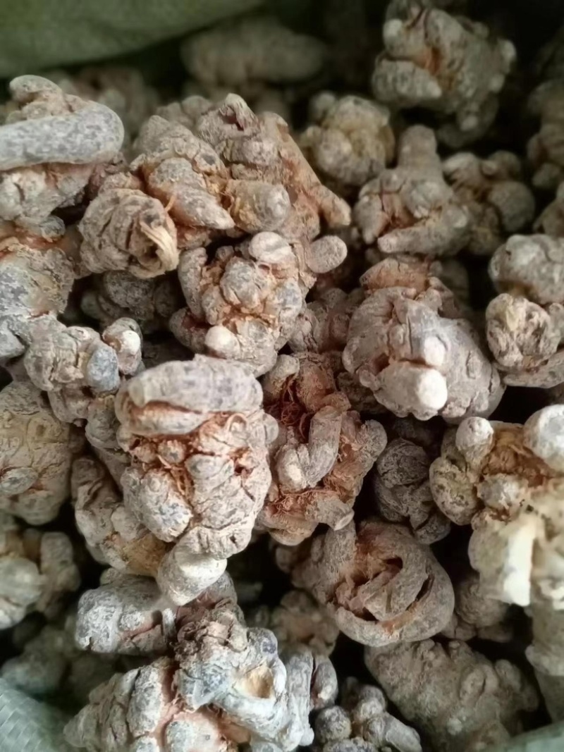 三七文山三七产地一手好货质优价美规格任量大从优