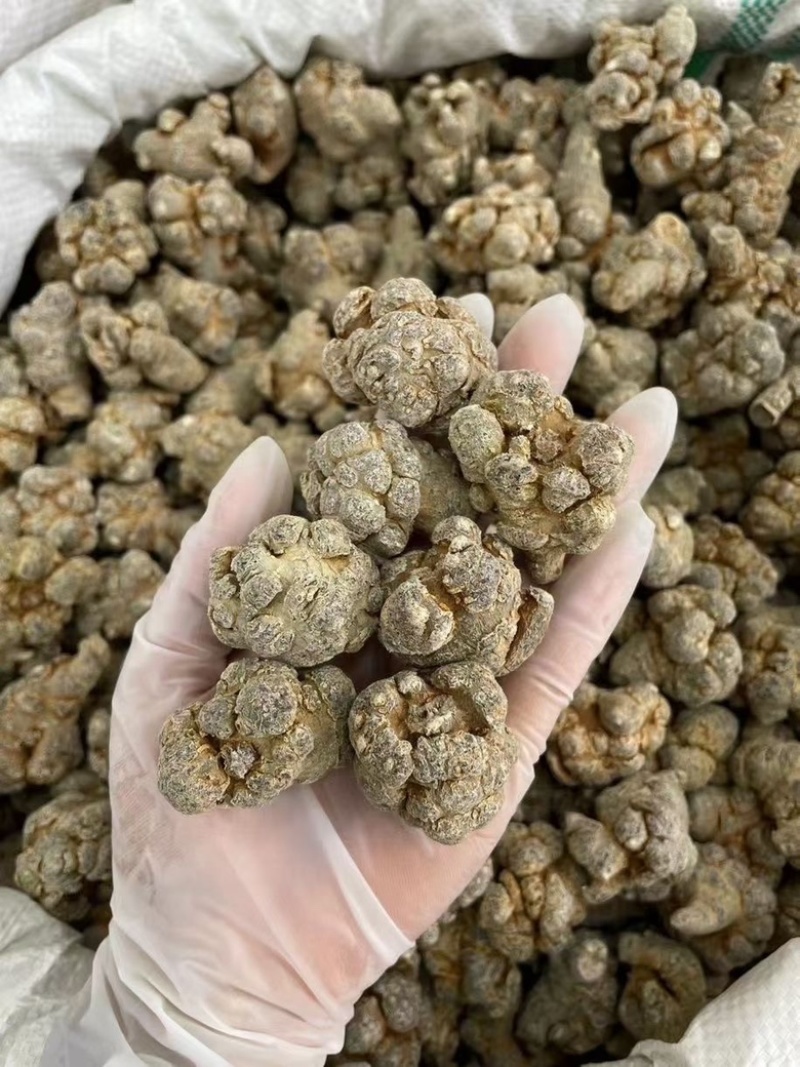 三七文山三七产地一手好货质优价美规格任量大从优