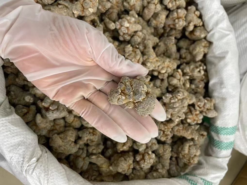 三七文山三七产地一手好货质优价美规格任量大从优