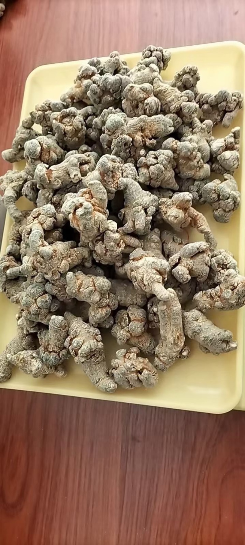三七文山三七产地一手好货质优价美规格任量大从优