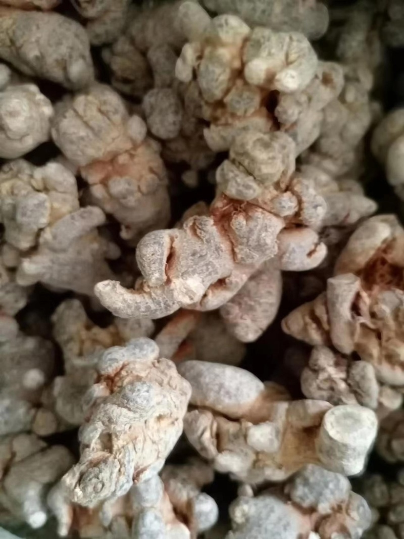 三七文山三七产地一手好货质优价美规格任量大从优