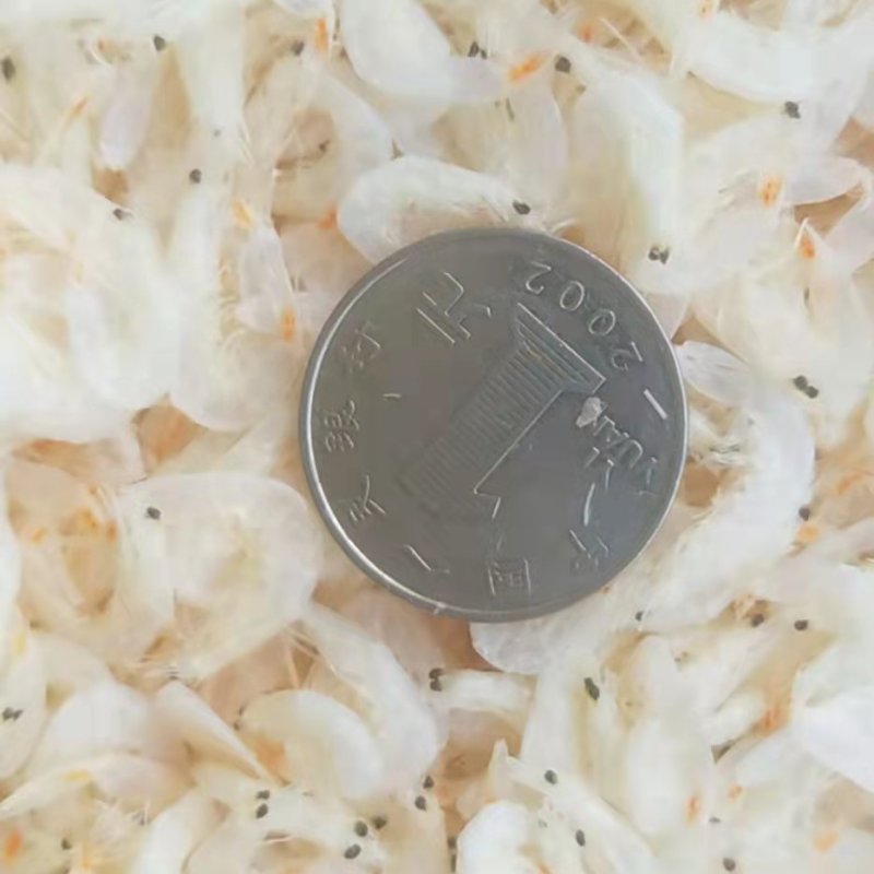淡干虾皮，大量现货供应，各种规格齐全