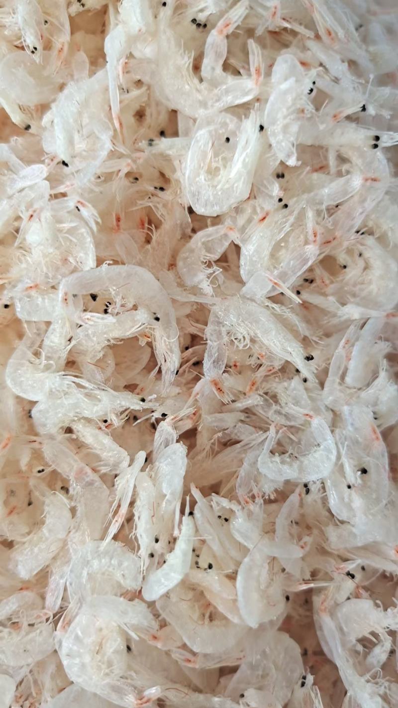 淡干虾皮，大量现货供应，各种规格齐全