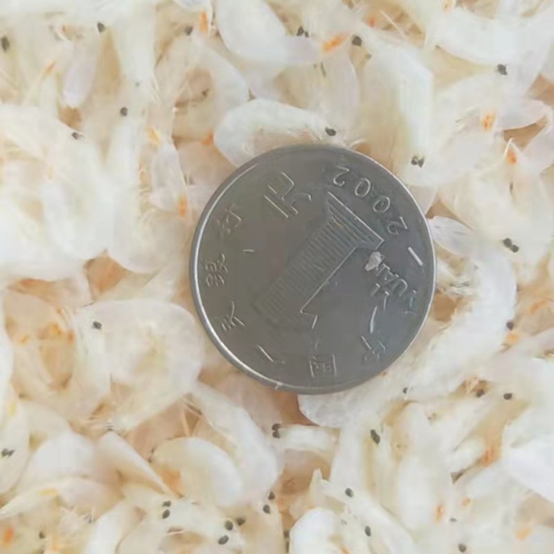 淡干虾皮，大量现货供应，各种规格齐全