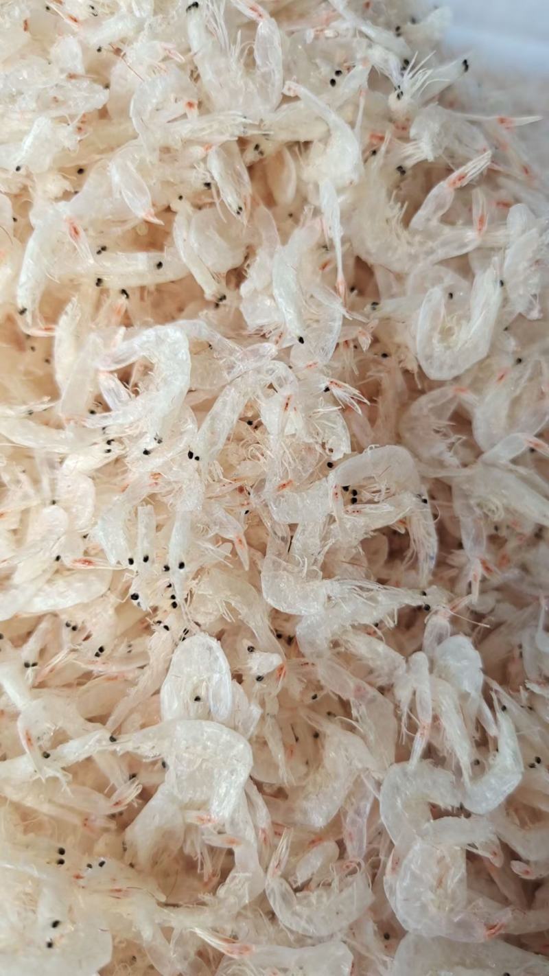 淡干虾皮，大量现货供应，各种规格齐全