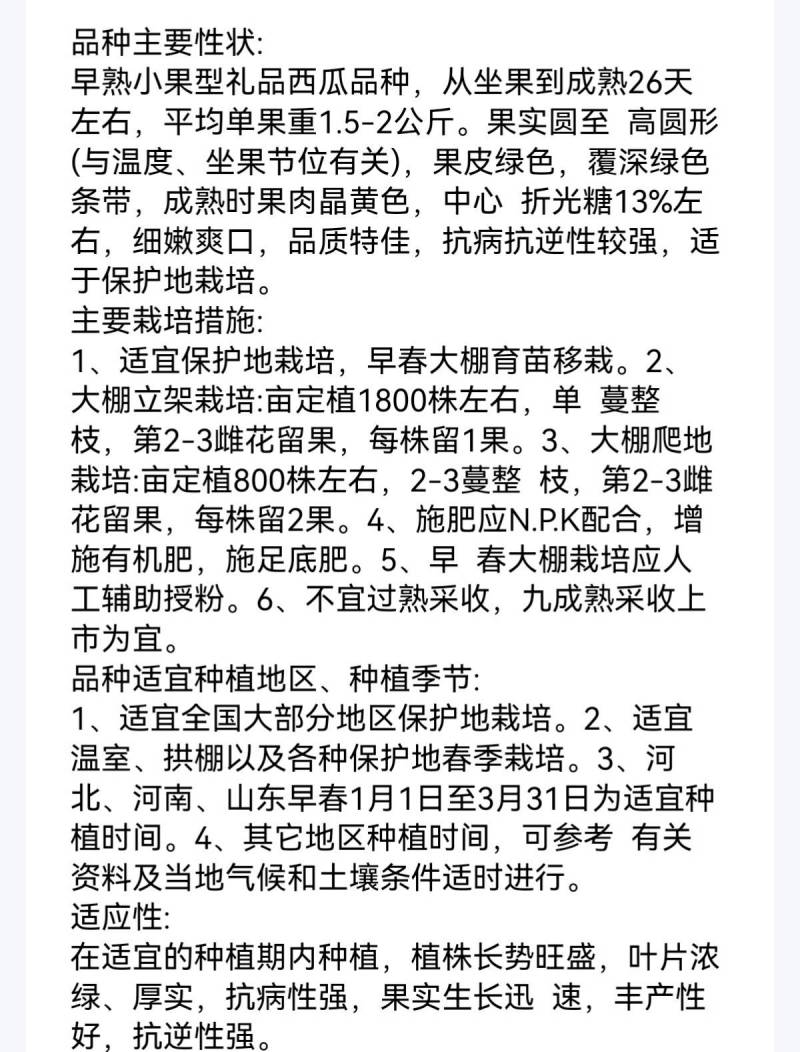 冰麒麟礼品西瓜种子绿皮黄瓤超小兰甜脆多汁迷你小圆西瓜种子