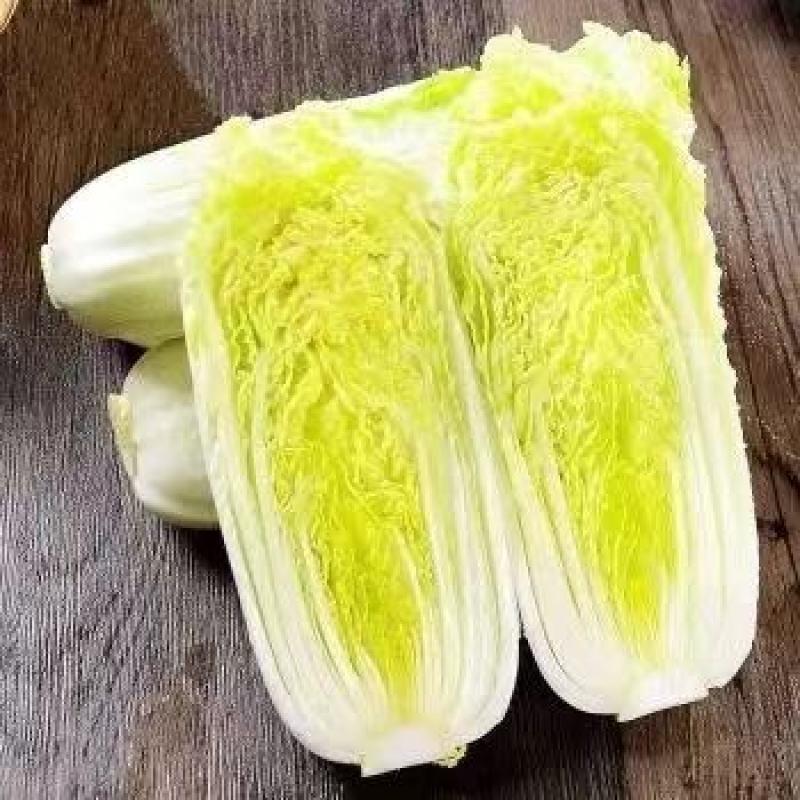 精品娃娃菜，河北娃娃菜质量好个头均匀代发全国欢迎来电