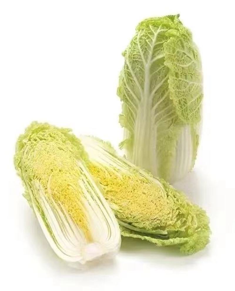 精品娃娃菜，河北娃娃菜质量好个头均匀代发全国欢迎来电