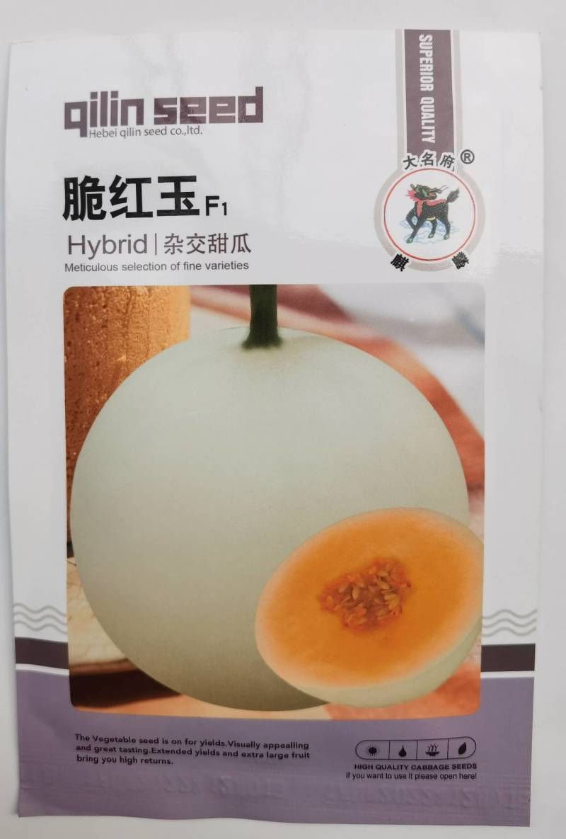 白皮红肉甜瓜种子脆红玉杂交早熟抗病红瓤酥脆香瓜甜瓜种子