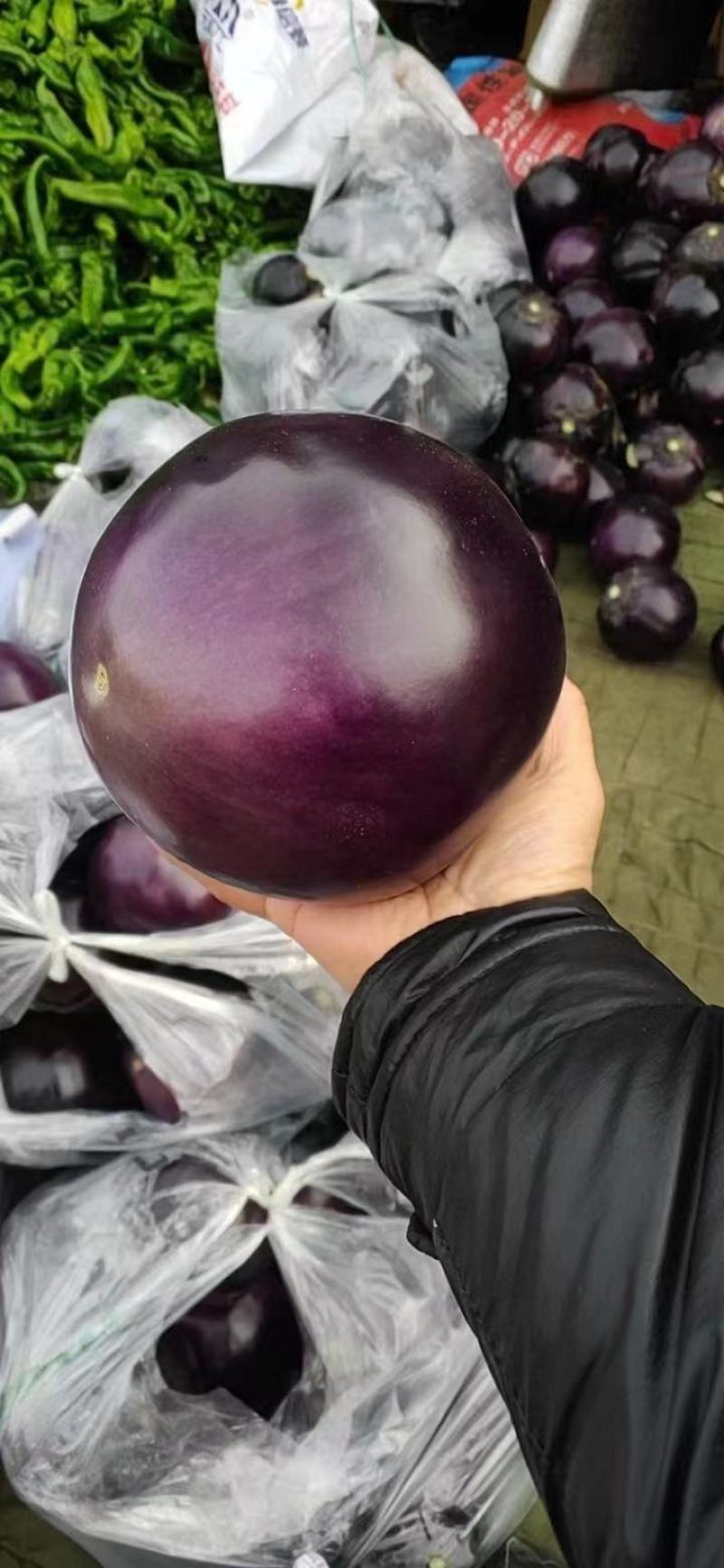 精品紫光圆茄，色泽均匀产地一手货源大量有货供应全国