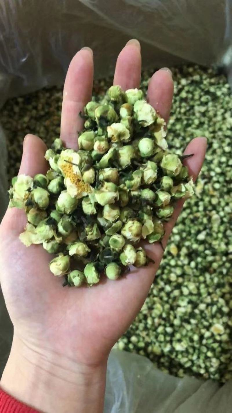 山茶花干货山茶花药用泡水欢迎选购！
