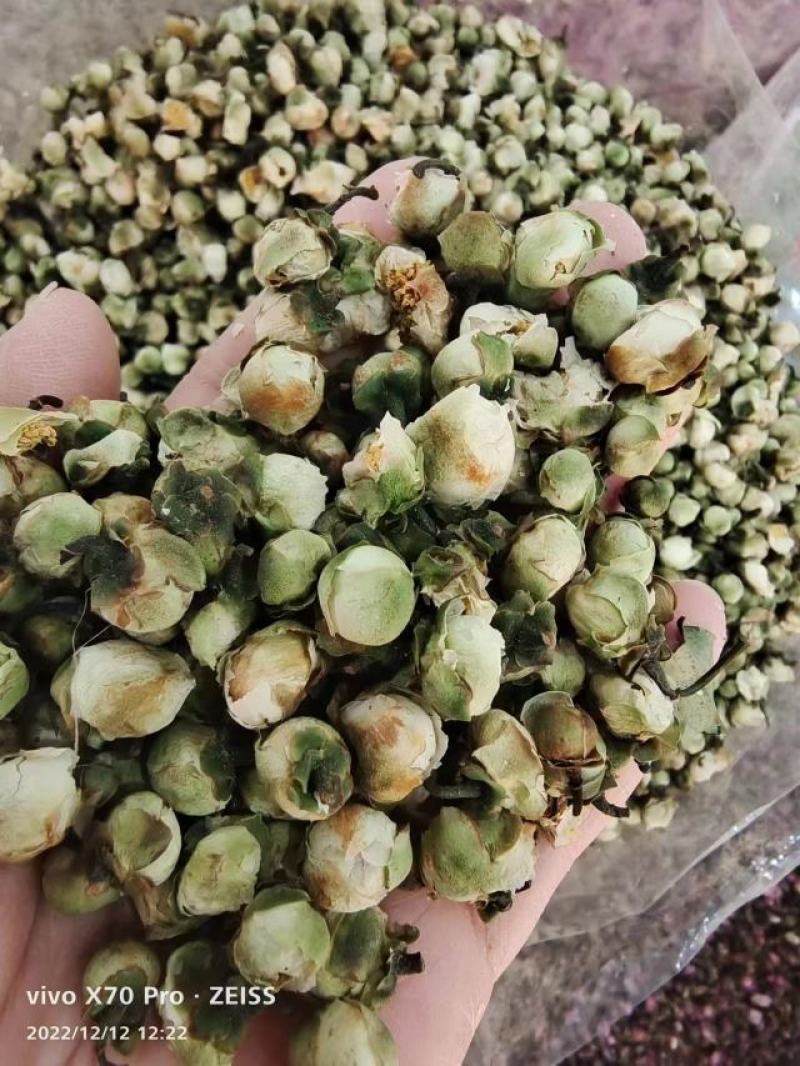 山茶花干货山茶花药用泡水欢迎选购！