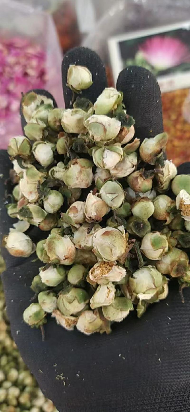 山茶花干货山茶花药用泡水欢迎选购！