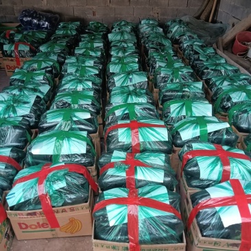 765长茄，产地直供，