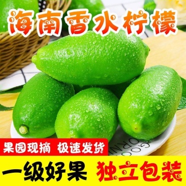 海南香水柠檬/无籽柠檬/子弹头香水柠檬/顺丰包邮