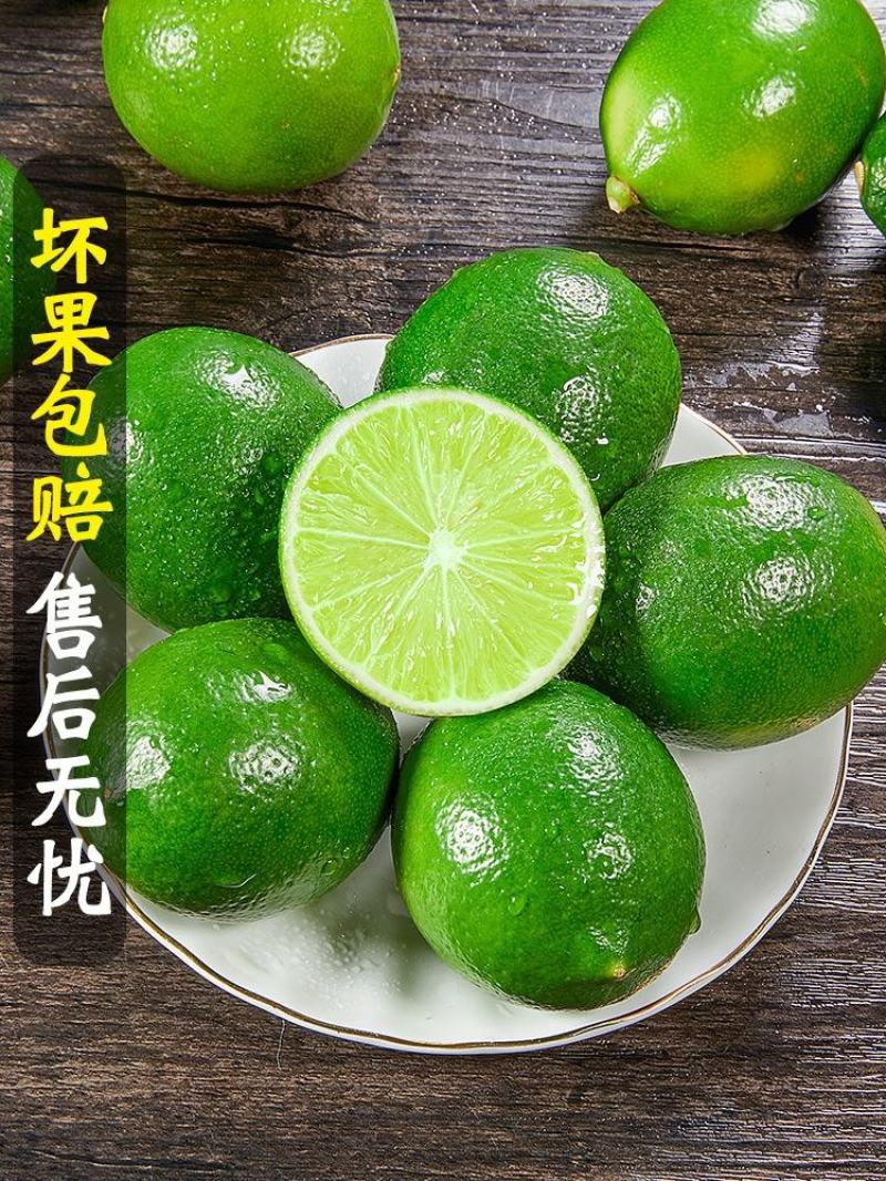海南香水柠檬/无籽柠檬/子弹头香水柠檬/顺丰包邮