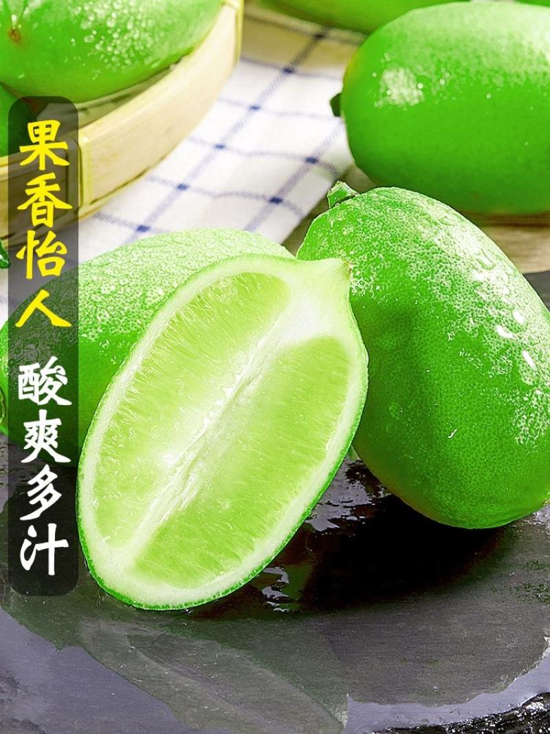 海南香水柠檬/无籽柠檬/子弹头香水柠檬/顺丰包邮