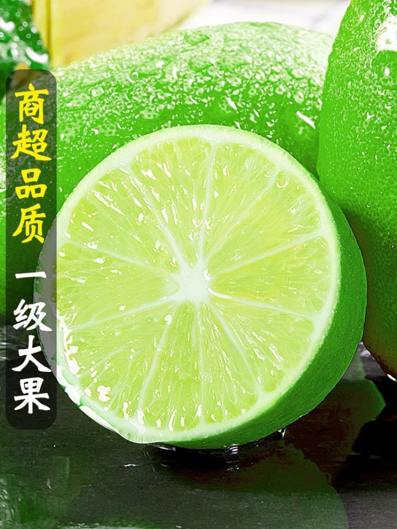 海南香水柠檬/无籽柠檬/子弹头香水柠檬/顺丰包邮