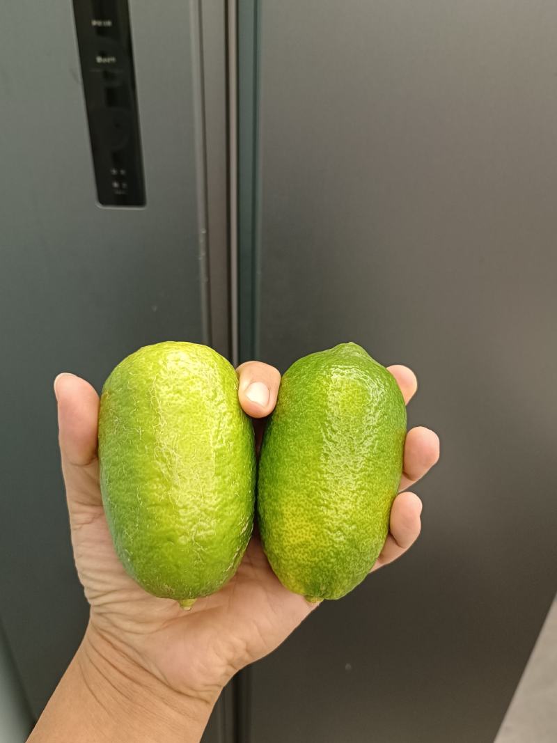 海南香水柠檬/无籽柠檬/子弹头香水柠檬/顺丰包邮