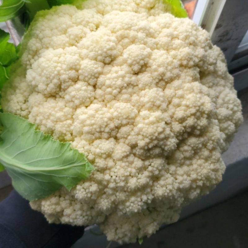 松花菜