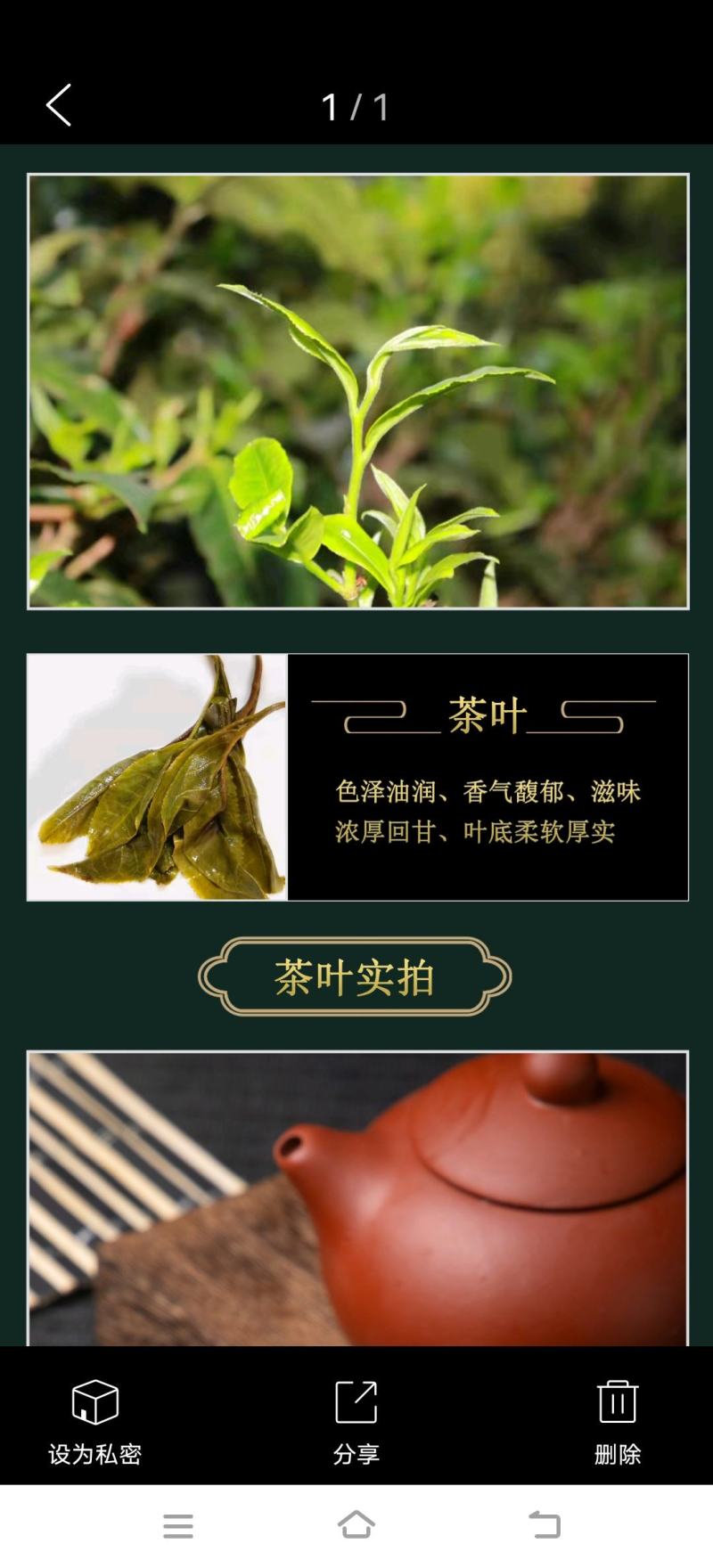 茶