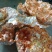 玉米饭渣，成分：大米，玉米，牛奶，麦麸。适合鸡鸭鹅鱼猪羊