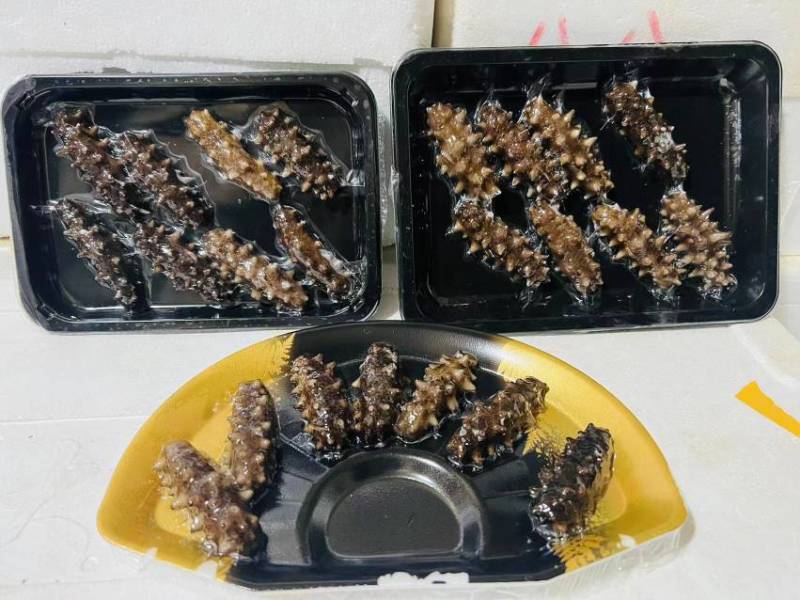 大连海参单品加工厂，大连发货，海参小包装明细