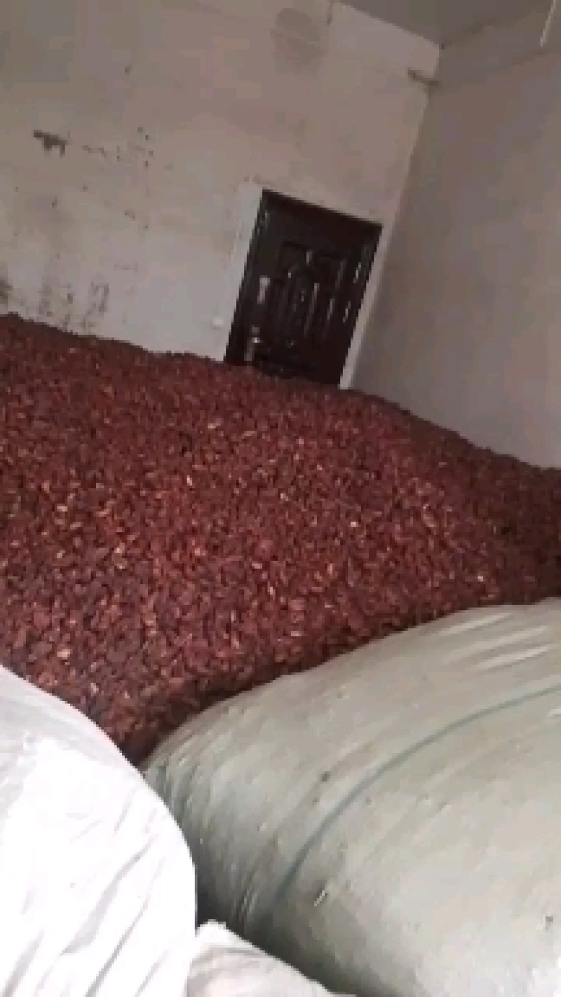 陕西汉中精品药材，皱木瓜，木瓜，颜色好，干货，