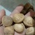 大个足干货粒粒有肉簿壳风流果(产地直发，大量批发)