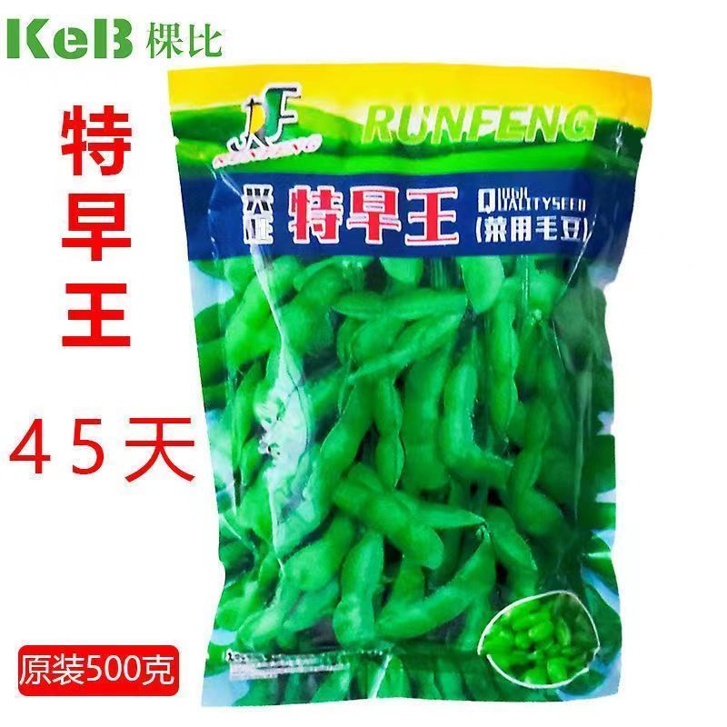 毛豆种子极早熟50天高产青豆菜种子春季蔬菜种子特早王菜豆