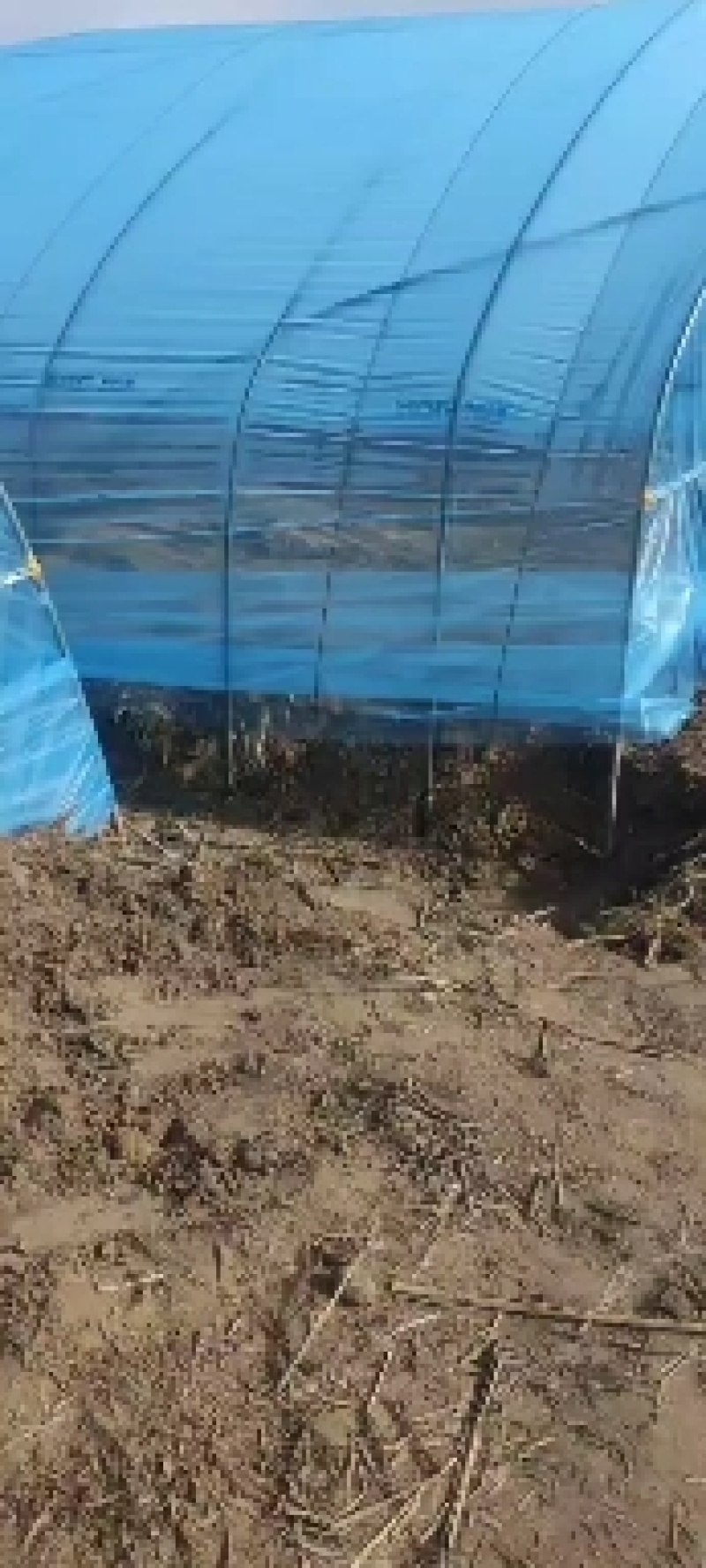 推荐高透光高保温的大棚膜农膜po膜不起雾不滴水增产增收
