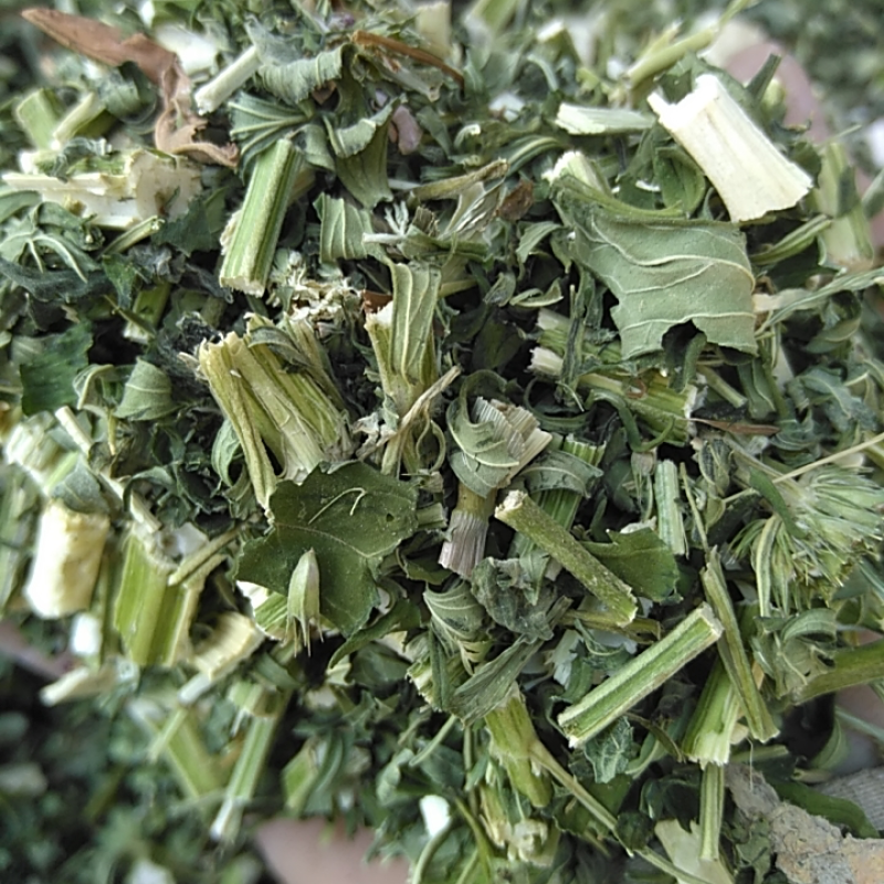 新货益母草干货地道药材产地一手好货诚信经营
