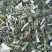 新货益母草干货地道药材产地一手好货诚信经营