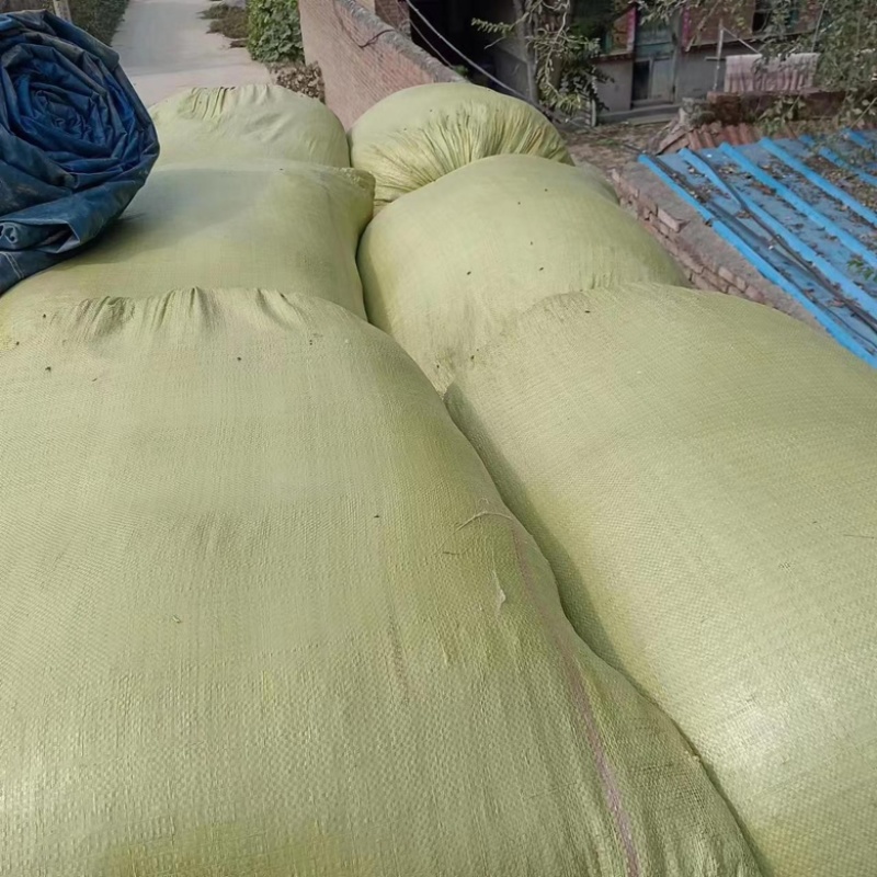 新货益母草干货地道药材产地一手好货诚信经营