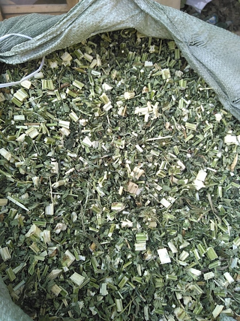 新货益母草干货地道药材产地一手好货诚信经营
