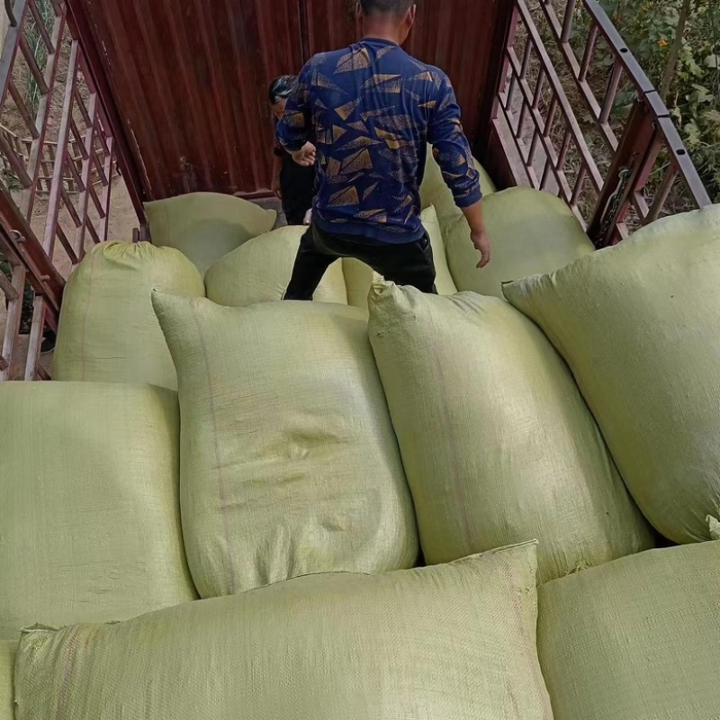 新货益母草干货地道药材产地一手好货诚信经营