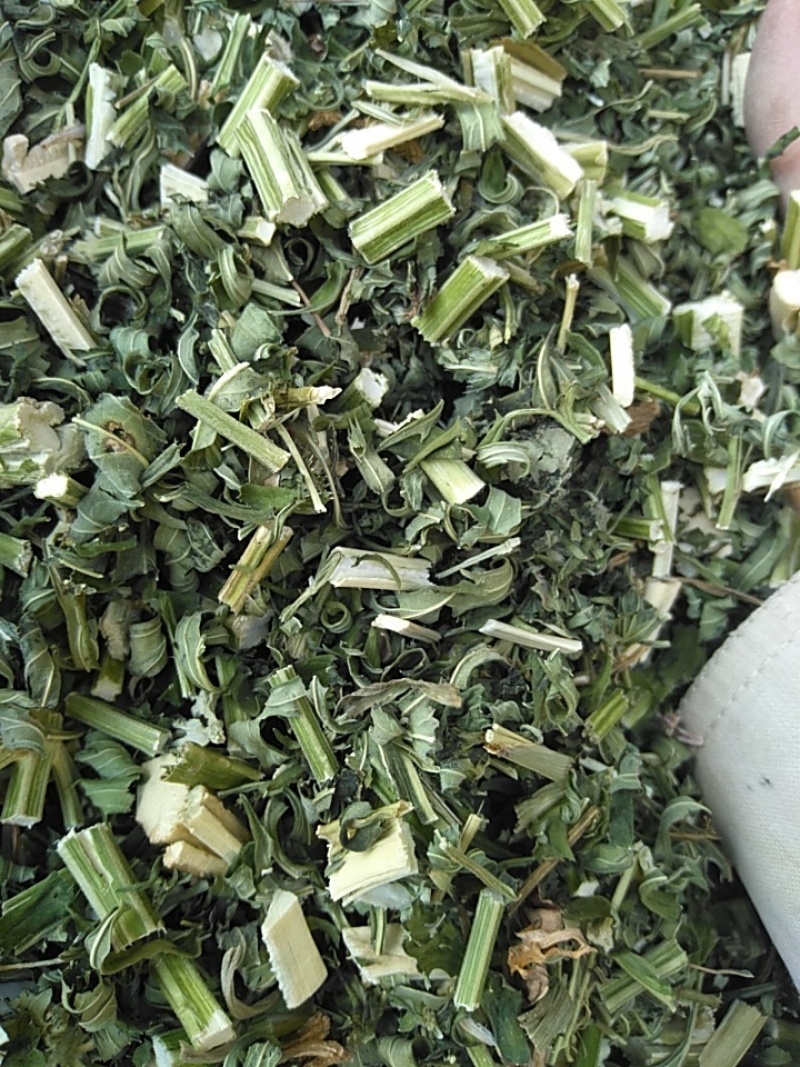 新货益母草干货地道药材产地一手好货诚信经营