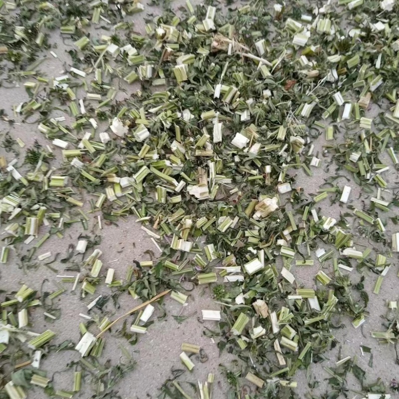 新货益母草干货地道药材产地一手好货诚信经营