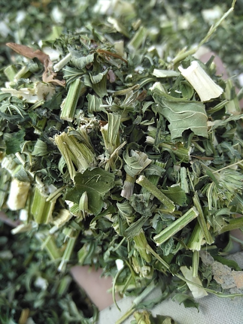 新货益母草干货地道药材产地一手好货诚信经营