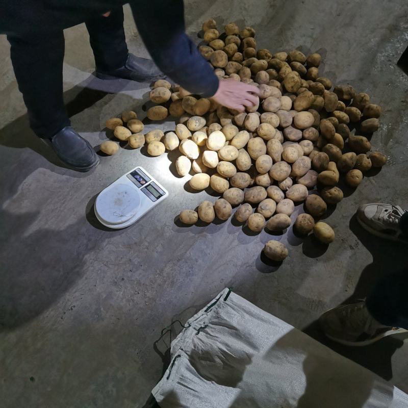 精品土豆2-3V7
