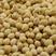 千斤豆黄豆种子粮食黄豆种子农家自种大豆种籽特大高产早熟抗