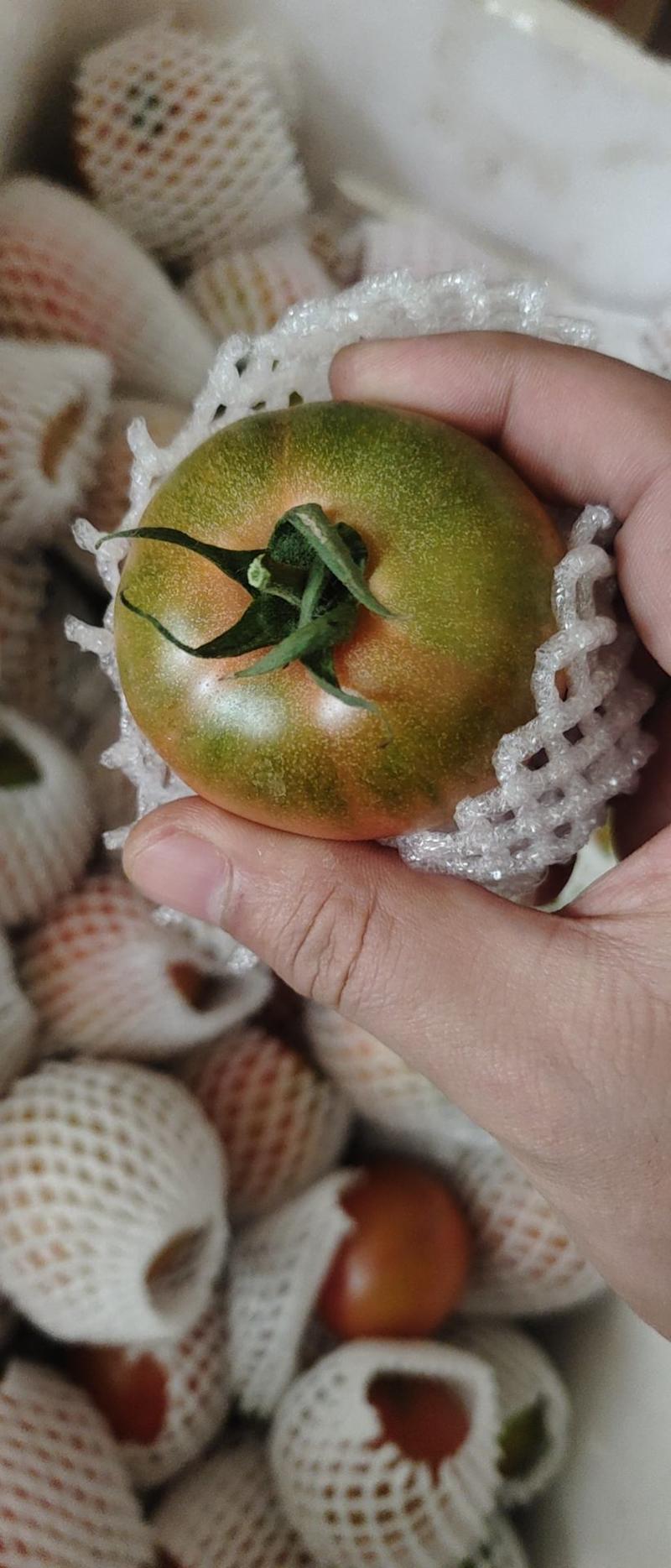 山东寿光草莓柿子口感柿子大量现货可根据客户要求定制加工