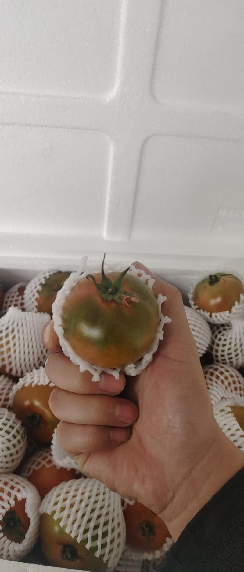 山东寿光草莓柿子口感柿子大量现货可根据客户要求定制加工