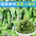手工小麻花四种口味比一般小麻花大一个7g左右吃过的就懂你