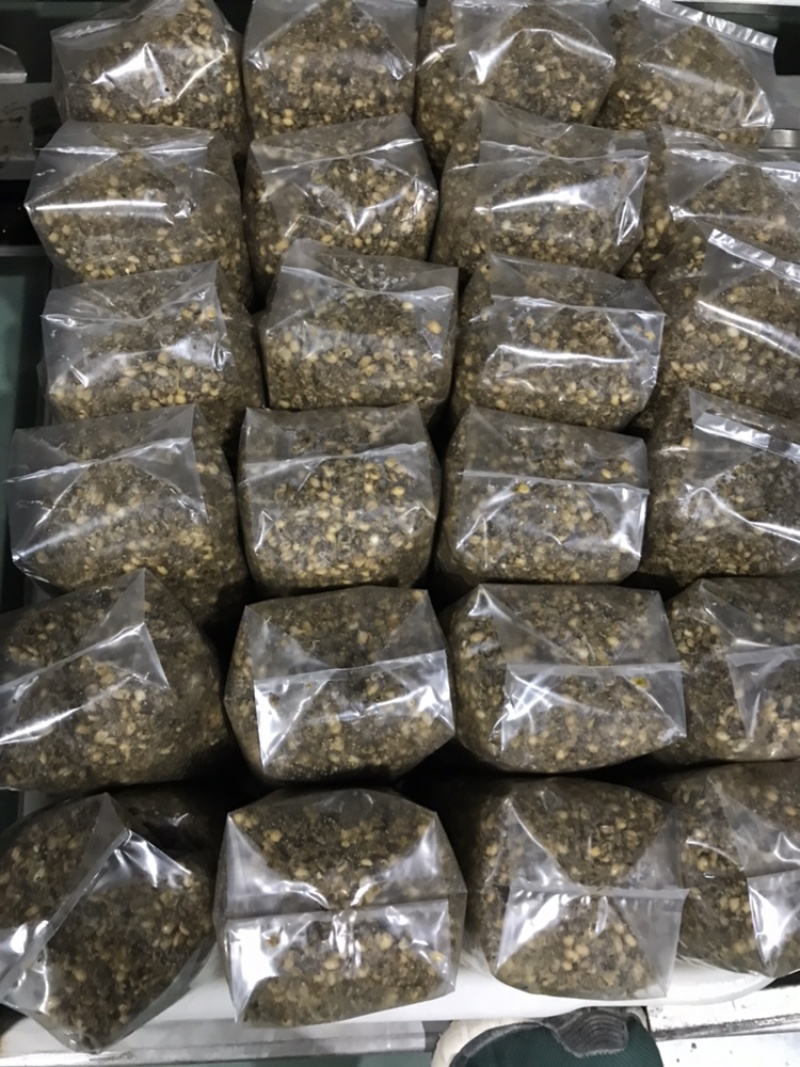 羊肚菌的营养包预定，单袋平均含干小麦0.35斤