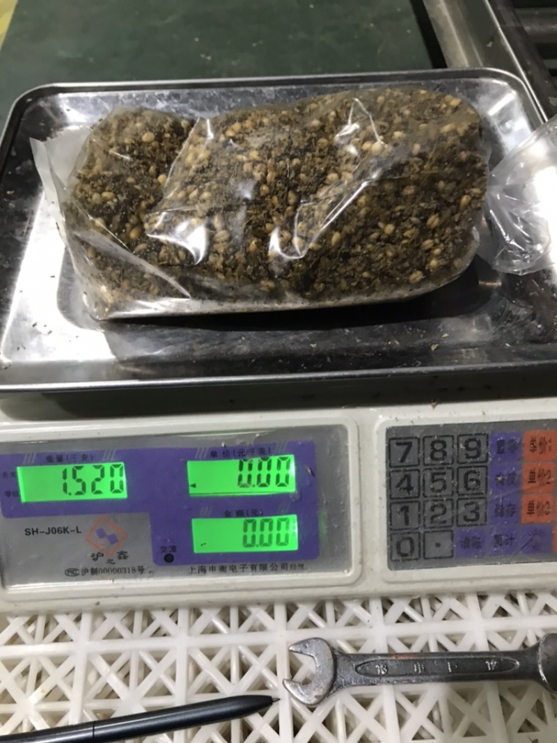 羊肚菌的营养包预定，单袋平均含干小麦0.35斤
