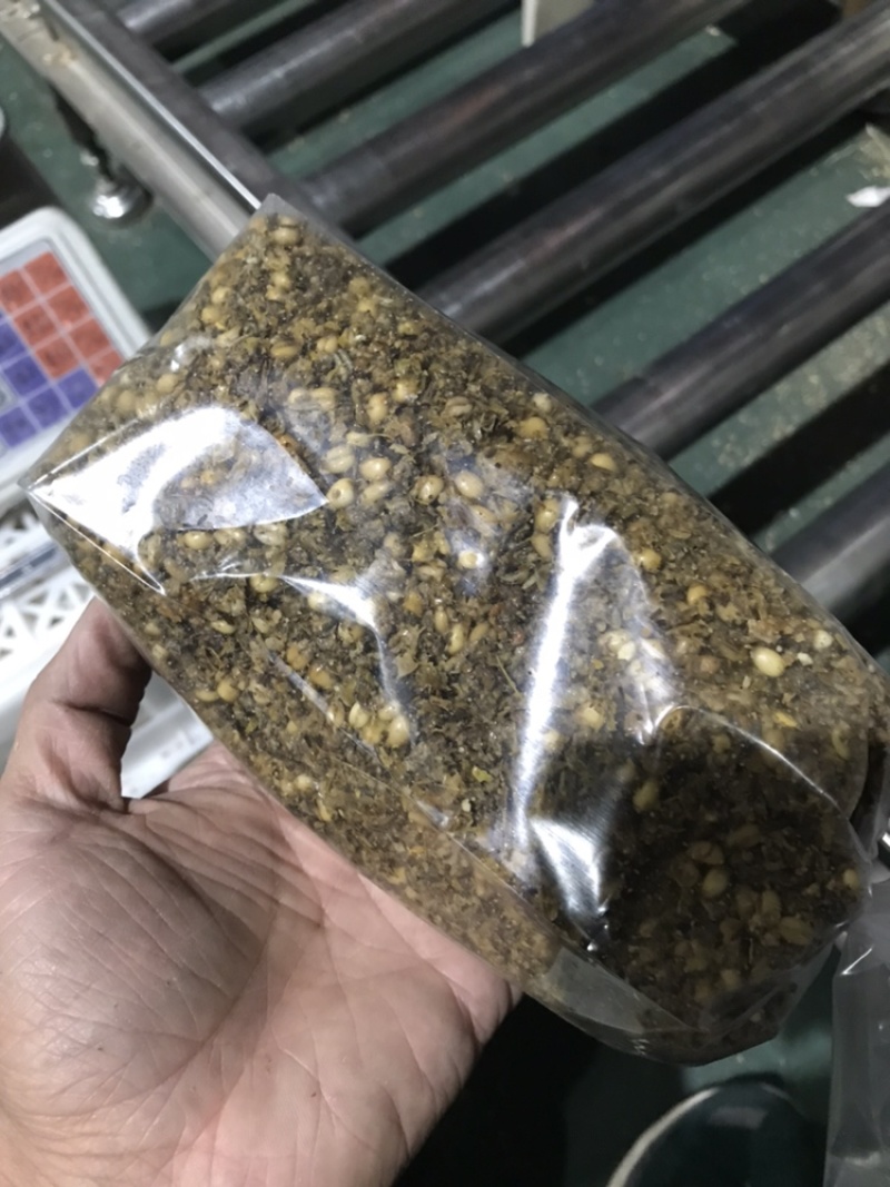 羊肚菌的营养包预定，单袋平均含干小麦0.35斤