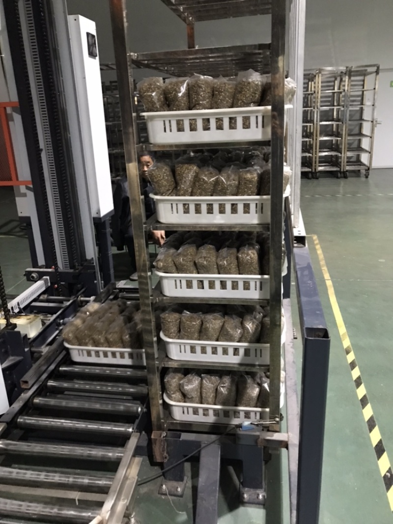 羊肚菌的营养包预定，单袋平均含干小麦0.35斤