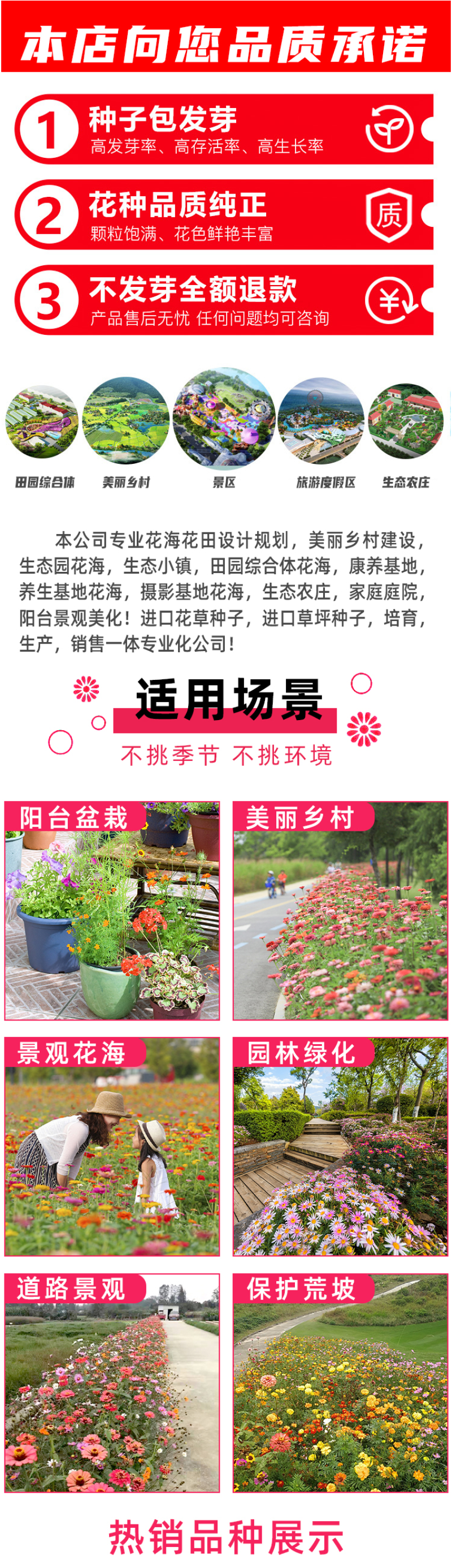 野花组合种子室外庭院易活花种籽子七彩格桑花四季开花太阳花