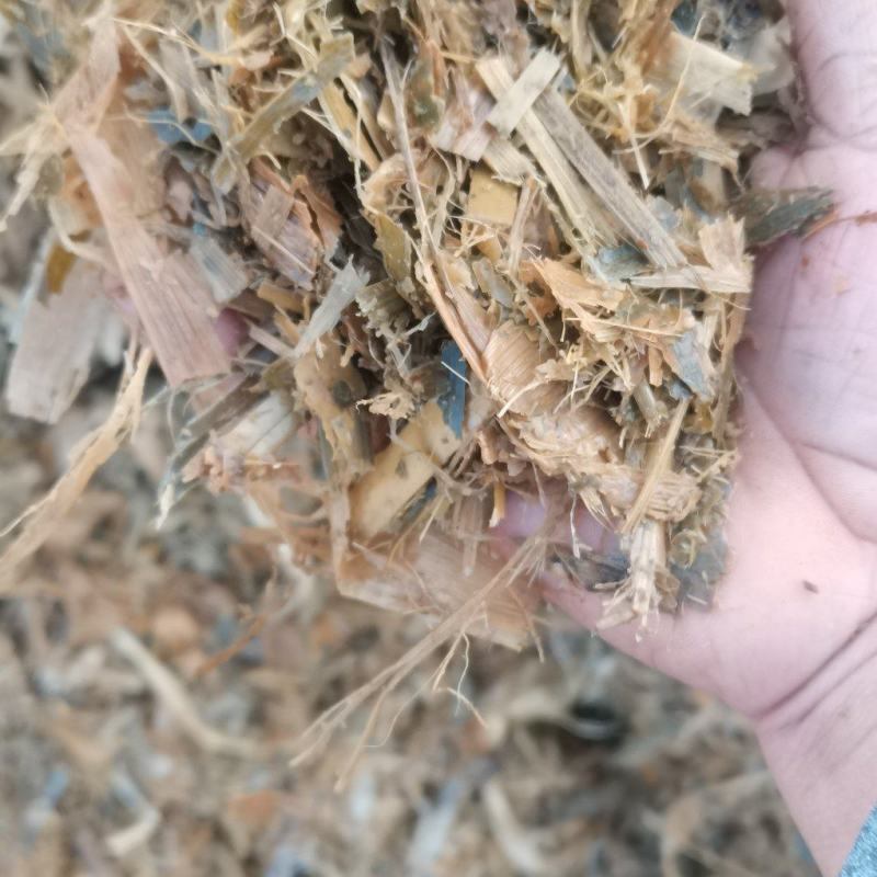 精品黄储饲料适口性和营养价显著的提高易消化